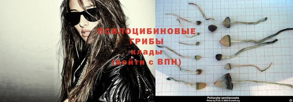 ешки Зеленокумск